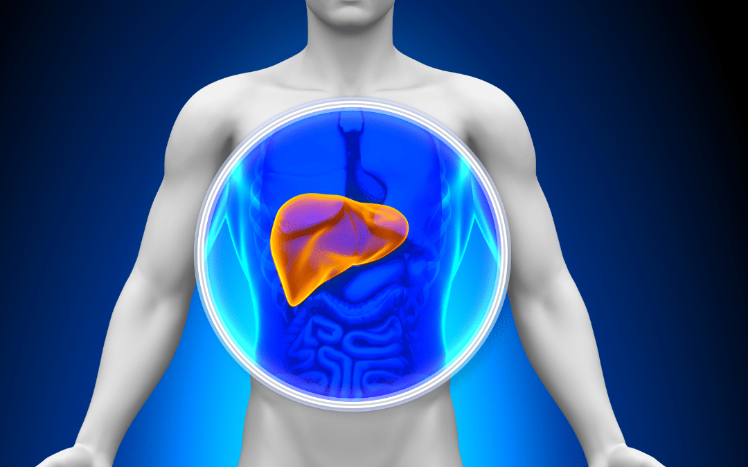 Liver Health and Digestion: Why Your Gut, Hormones, and Immunity Depend on It
