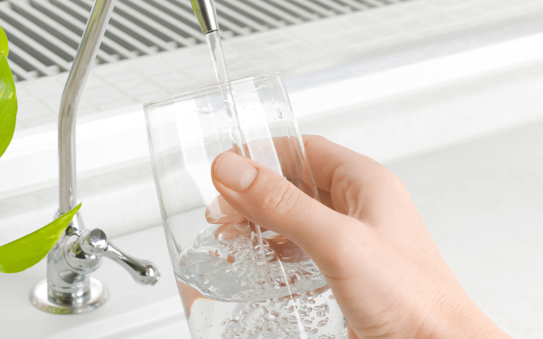 Hydration – The Forgotten Essential for Gut Health, Energy and Radiance