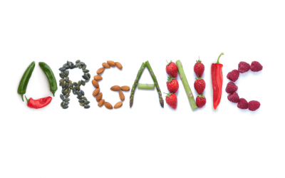 The Benefits of Organic Eating – Worth it or Just a Splurge?