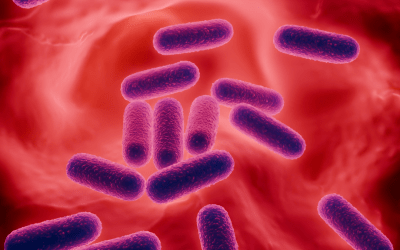 Postbiotics, Probiotics or Prebiotics?